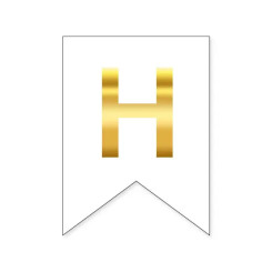 Буква Н на флажке 16*12 см для индивидуальных надписей Белый и золото