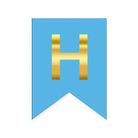 Буква Н на флажке 16*12 см для индивидуальных надписей Голубой и золото