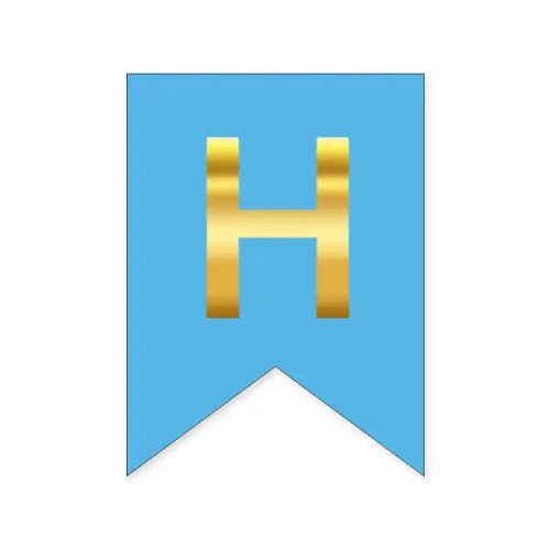 Буква Н на флажке 16*12 см для индивидуальных надписей Голубой и золото