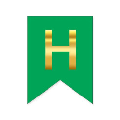 Буква Н на флажке 16*12 см для индивидуальных надписей Зеленый и золото