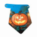 Надпись картонная на Хэллоуин с тыквами Happy halloween Оранжевый и голубой